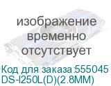 DS-I250L(D)(2.8MM)