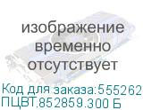ПЦВТ.852859.300 Б