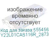Y22L01CAS116R_2873CF