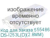 DS-I253L(D)(2.8MM)