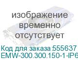 EMW-300.300.150-1-IP66-AISI430