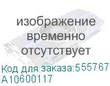 A10600117
