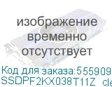SSDPF2KX038T11Z_clean_pulled