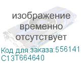 C13T664640