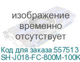 Полка стац. Cabeus SH-J018-FC-800M-100KG-BK 100кг. 19 600мм черный (CABEUS) SH-J018-FC-800M-100KG-BK