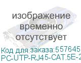 Патч-корд CABEUS вилка RJ-45, вилка RJ-45, кат.5E, ПВХ, 2м, серый (pc-utp-rj45-cat.5e-2m) PC-UTP-RJ45-CAT.5E-2M PC-UTP-RJ45-CAT.5E-2M