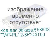Коннектор LanMaster TWT-PL12-6P2C/100 UTP кат.3 RJ12 прозрачный (упак.: 100шт) (LANMASTER) TWT-PL12-6P2C/100