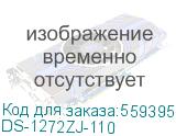 DS-1272ZJ-110