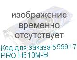 PRO H610M-B