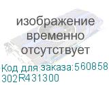 302R431300