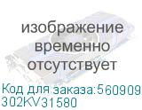 302KV31580