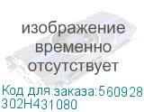 302H431080