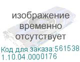 1.10.04.0000176