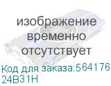 24B31H