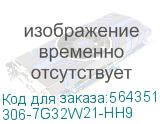 306-7G32W21-HH9