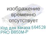 PRO B850M-P