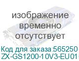 ZX-GS1200-10V3-EU0101F