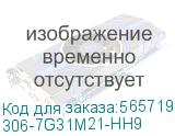 306-7G31M21-HH9