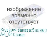 A4_810case