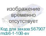 mcb6-1-10B-av