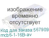 mcb6-1-16B-av