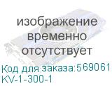 KV-1-300-1