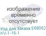 KV-1-16-1