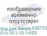FI-V10-1-10-1-K03