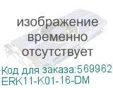 ERK11-K01-16-DM