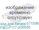 FM2-P117-000000