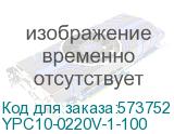 YPC10-0220V-1-100