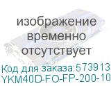Панель задняя 2000х1000 IP54 FORMAT (ITK) YKM40D-FO-FP-200-100-54 YKM40D-FO-FP-200-100-54