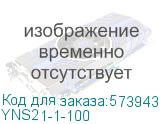 YNS21-1-100
