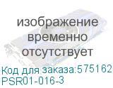 PSR01-016-3
