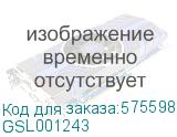 GSL001243