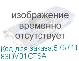 83DV01CTSA