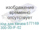 300-00-IF-02