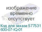 600-07-IQ-01