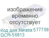 GCR-56813