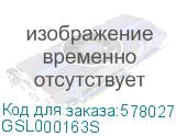 GSL000163S