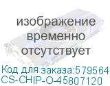 CS-CHIP-O-45807120