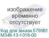 M348-13-1018-00