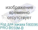 PRO B550M-B