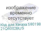 21Q6002BUS