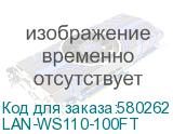 LAN-WS110-100FT