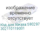 302110119001
