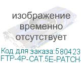 FTP-4P-CAT.5E-PATCH-GY