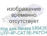 UTP-4P-CAT.5E-PATCH-LSZH-GY