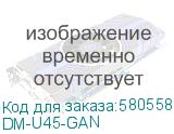 DM-U45-GAN