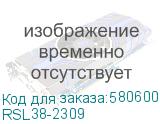 RSL38-2309